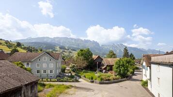 A rural village with traditional buildings, a paved street, and mountains in the background.