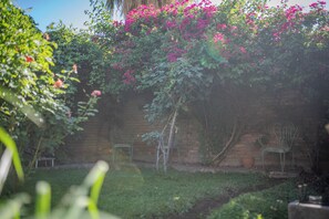 Property grounds - Casa Jade: A Bright and Cozy Home with a Garden (Godoy Cruz)