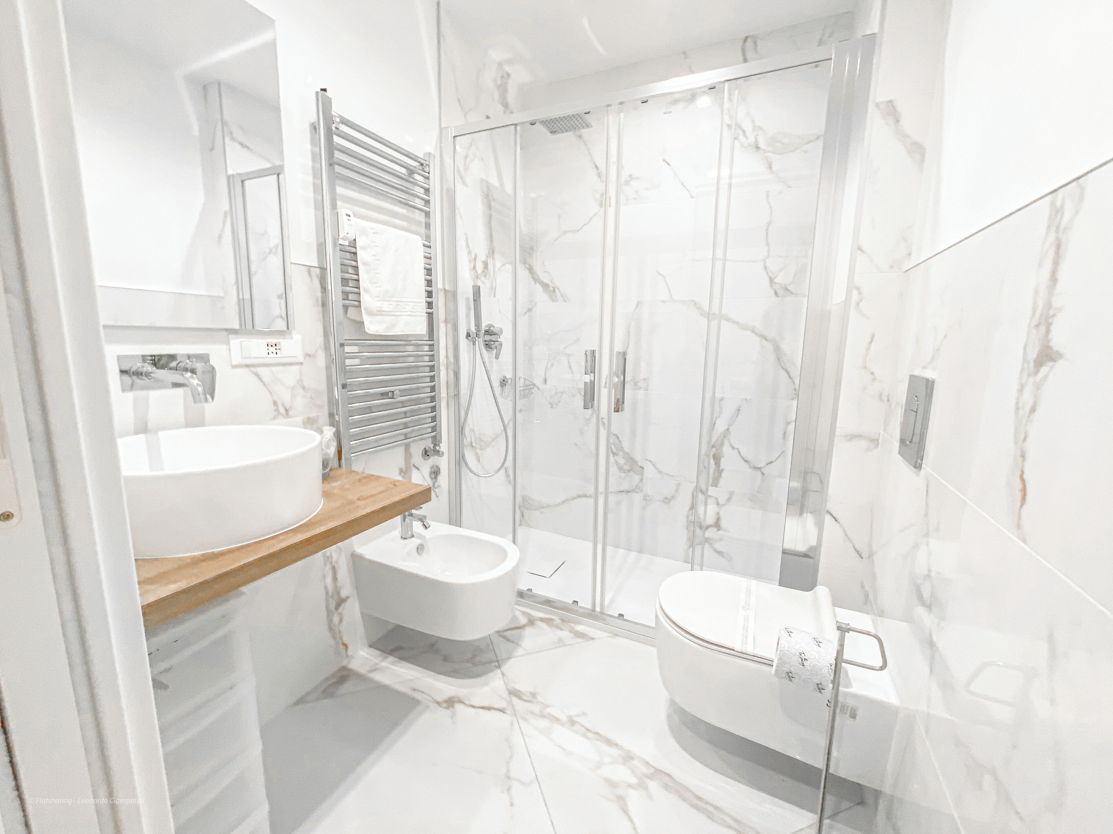 Shower, hair dryer, bidet, towels