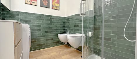 Shower, hair dryer, bidet, towels