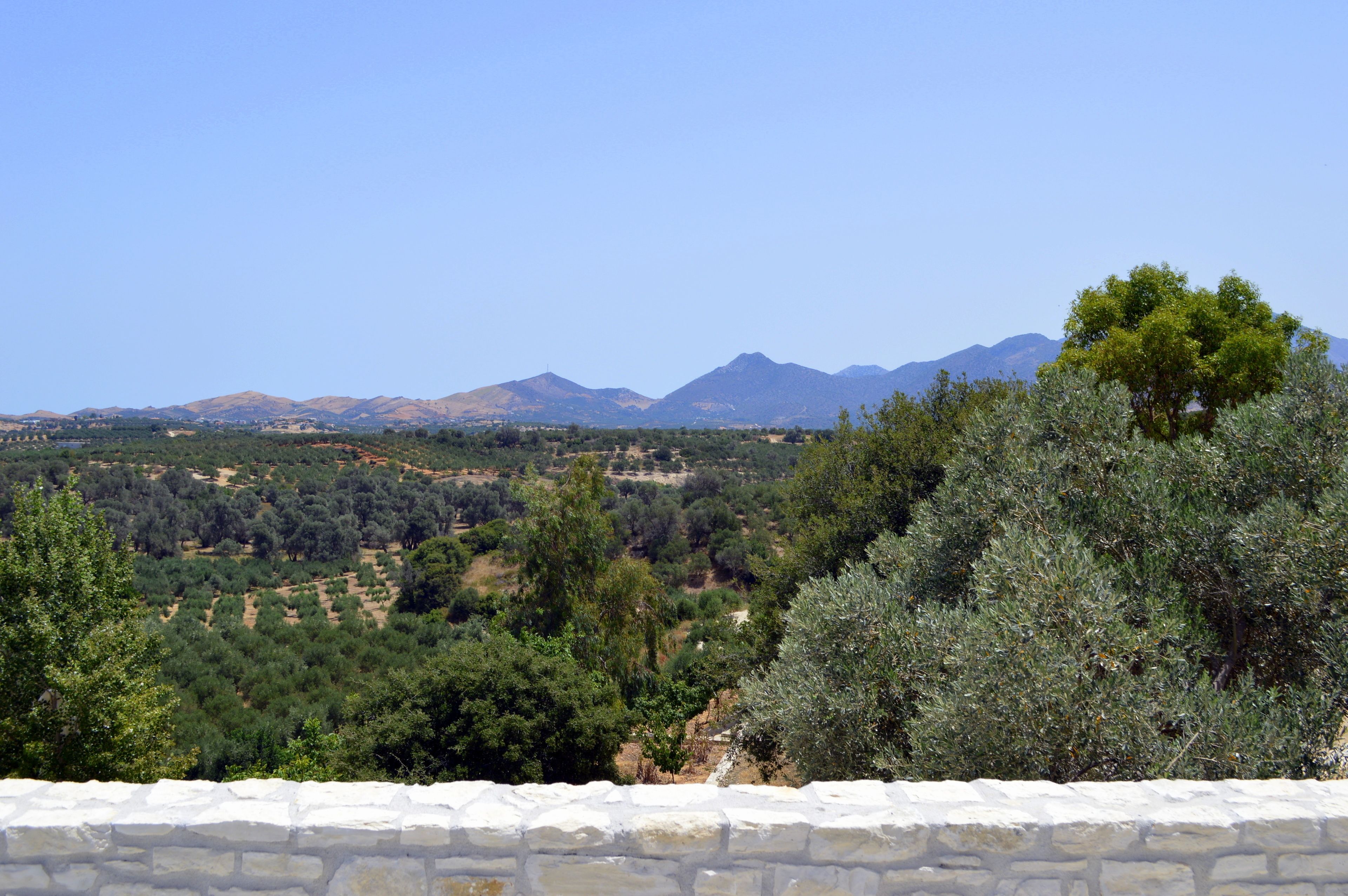A stone wall with a view of olive groves and distant mountains.