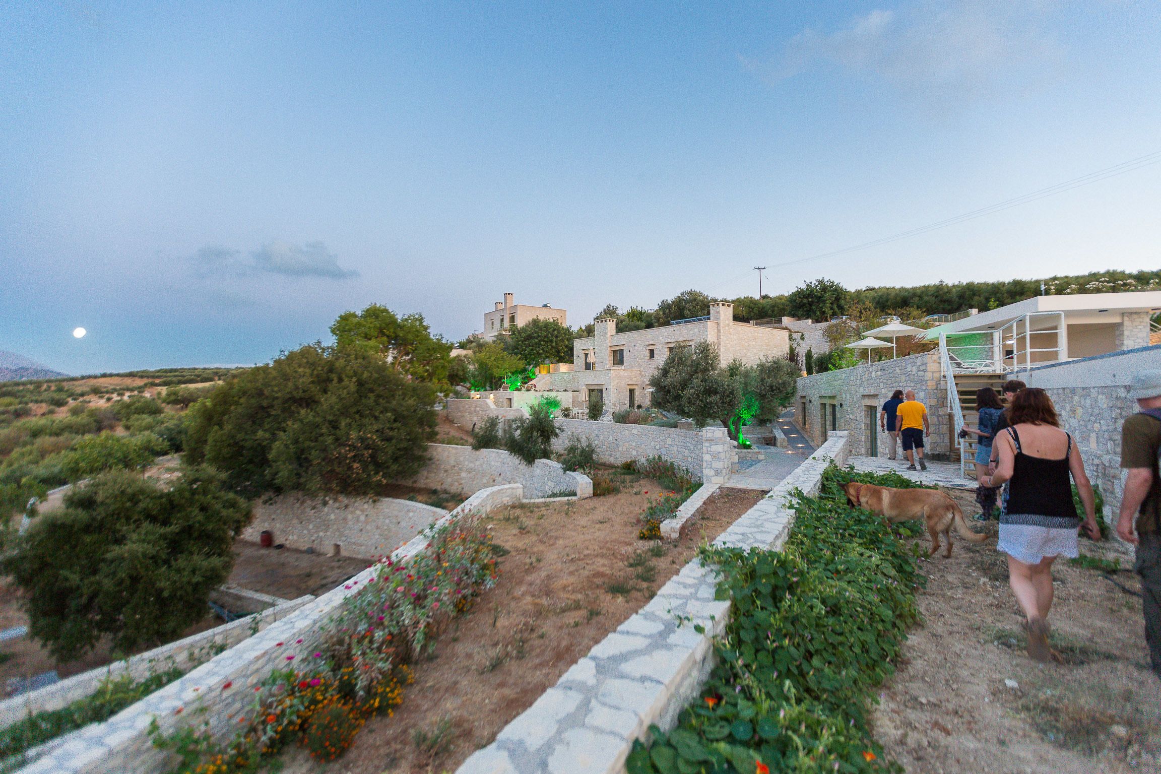 A stone pathway leading to a building with a modern design, surrounded by greenery and a clear sky.