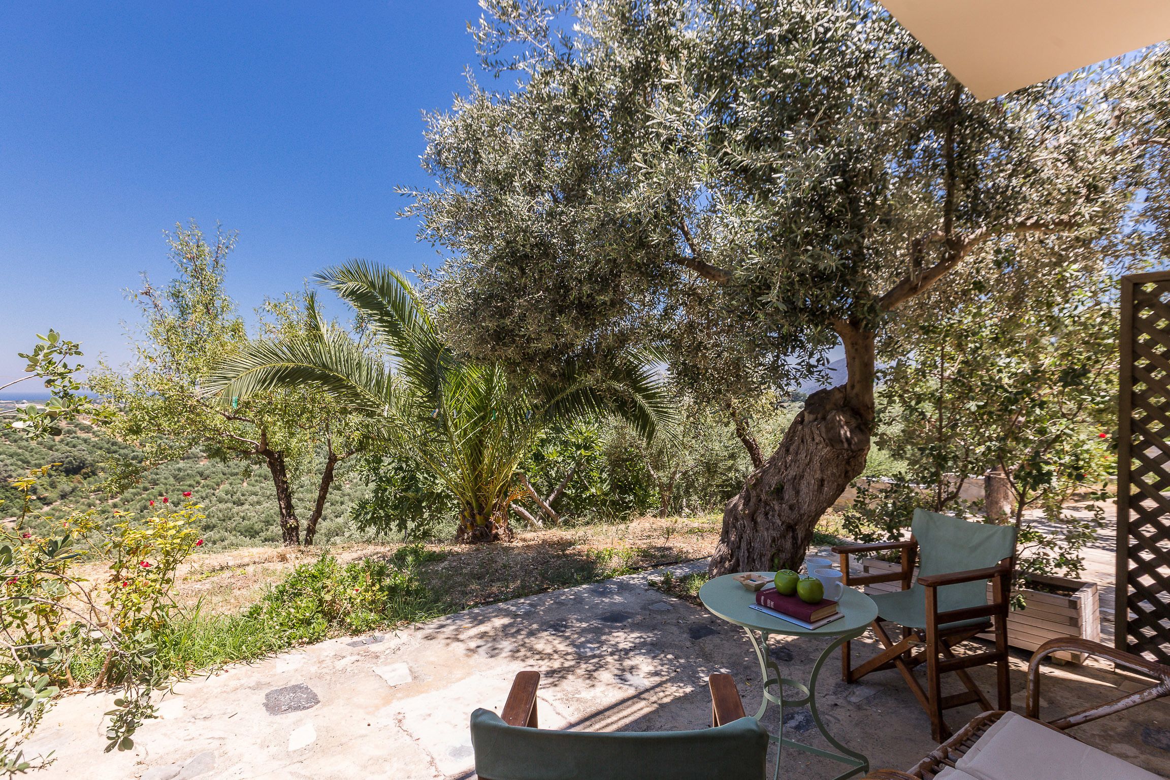 An outdoor seating area with a table and chairs, surrounded by olive trees and a view of the landscape.