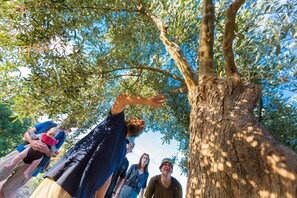 Un grupo de personas bajo un árbol con un tronco grueso y follaje denso.