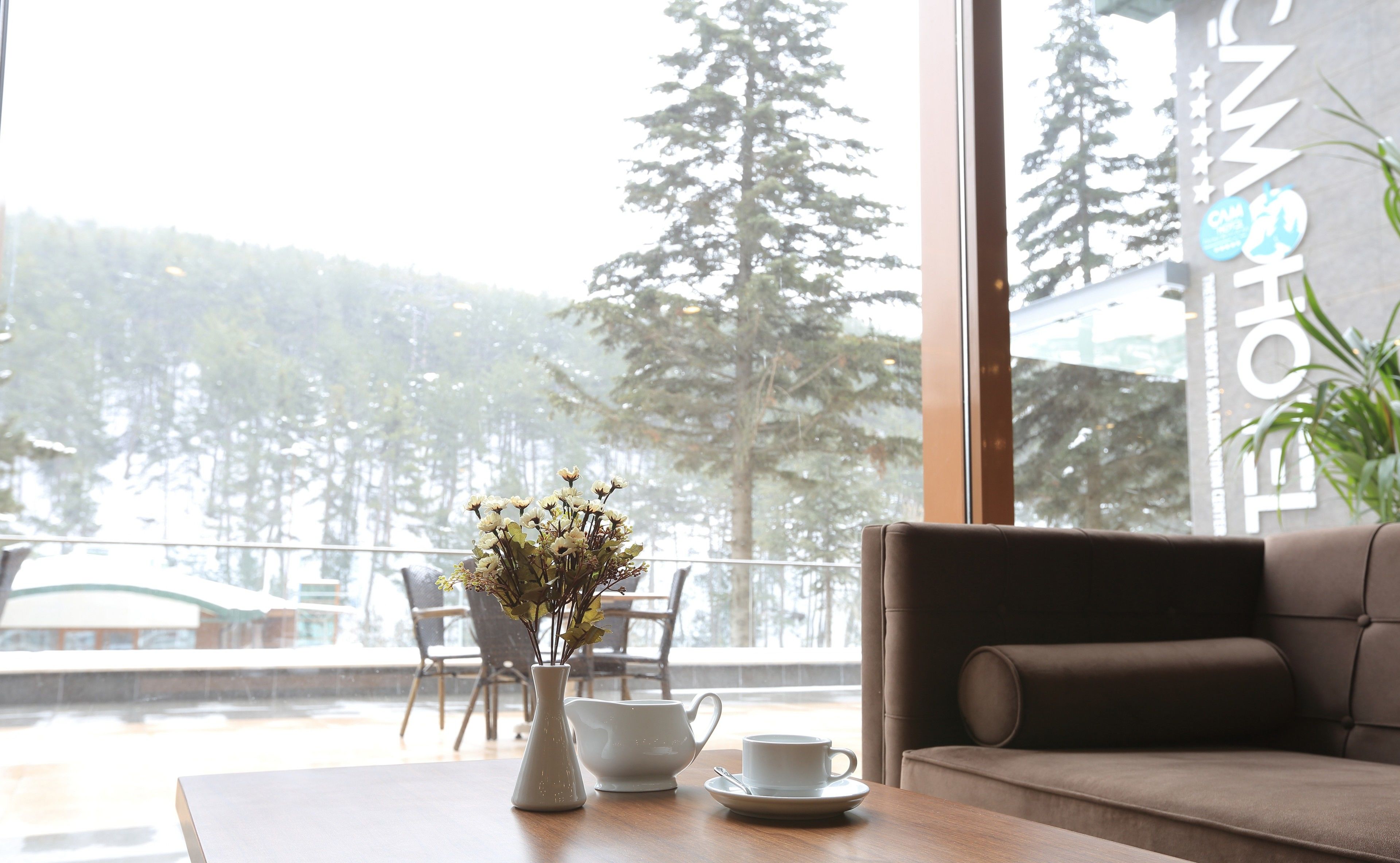 Une pièce avec vue sur des arbres et un bâtiment à l’extérieur. On y trouve une table avec un vase de fleurs, une théière et une tasse.