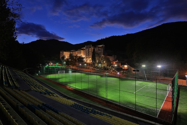 Sport court