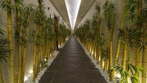 A corridor lined with tall bamboo plants and white pebbles, leading to a door at the end.