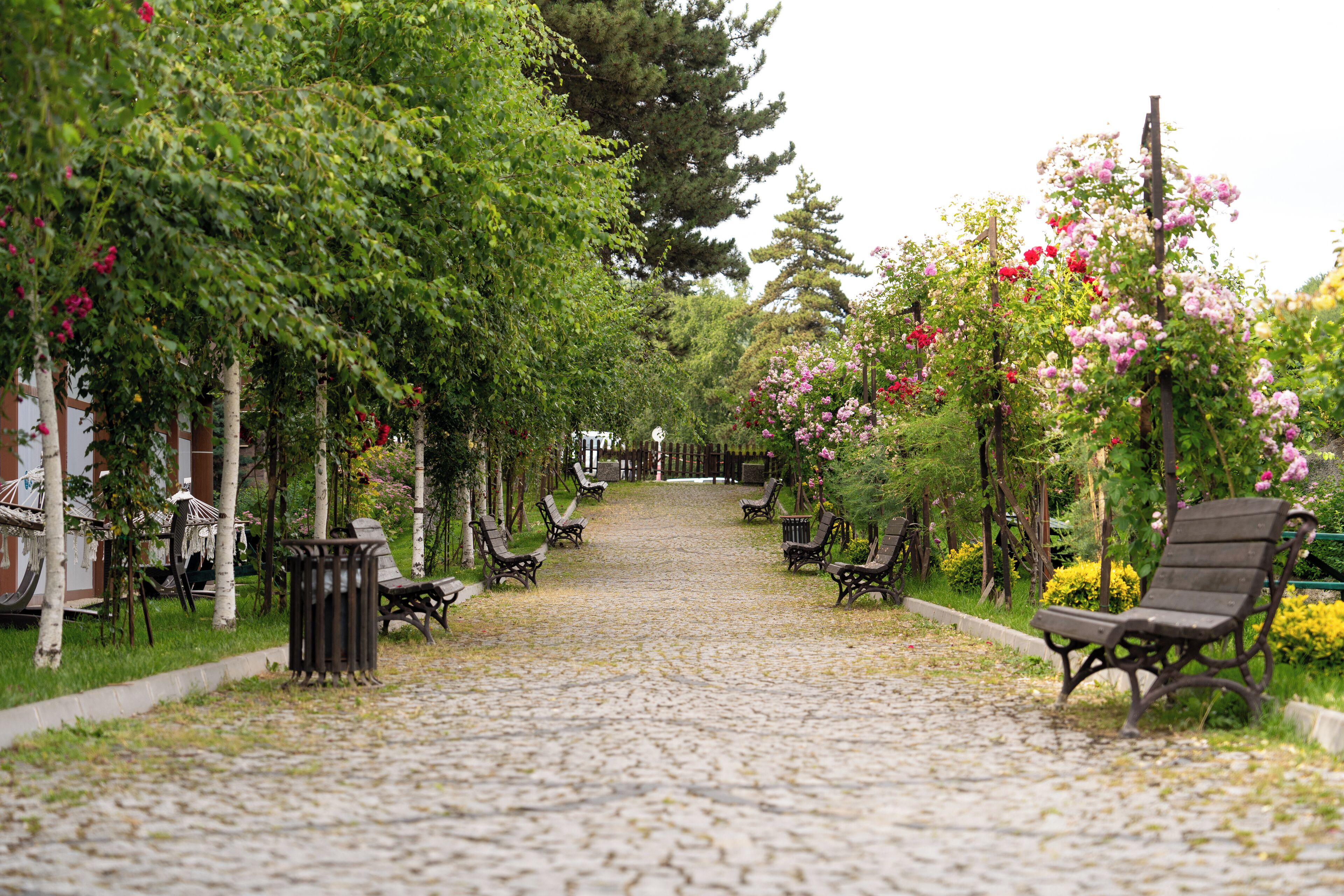 Vista frontal de la propiedad