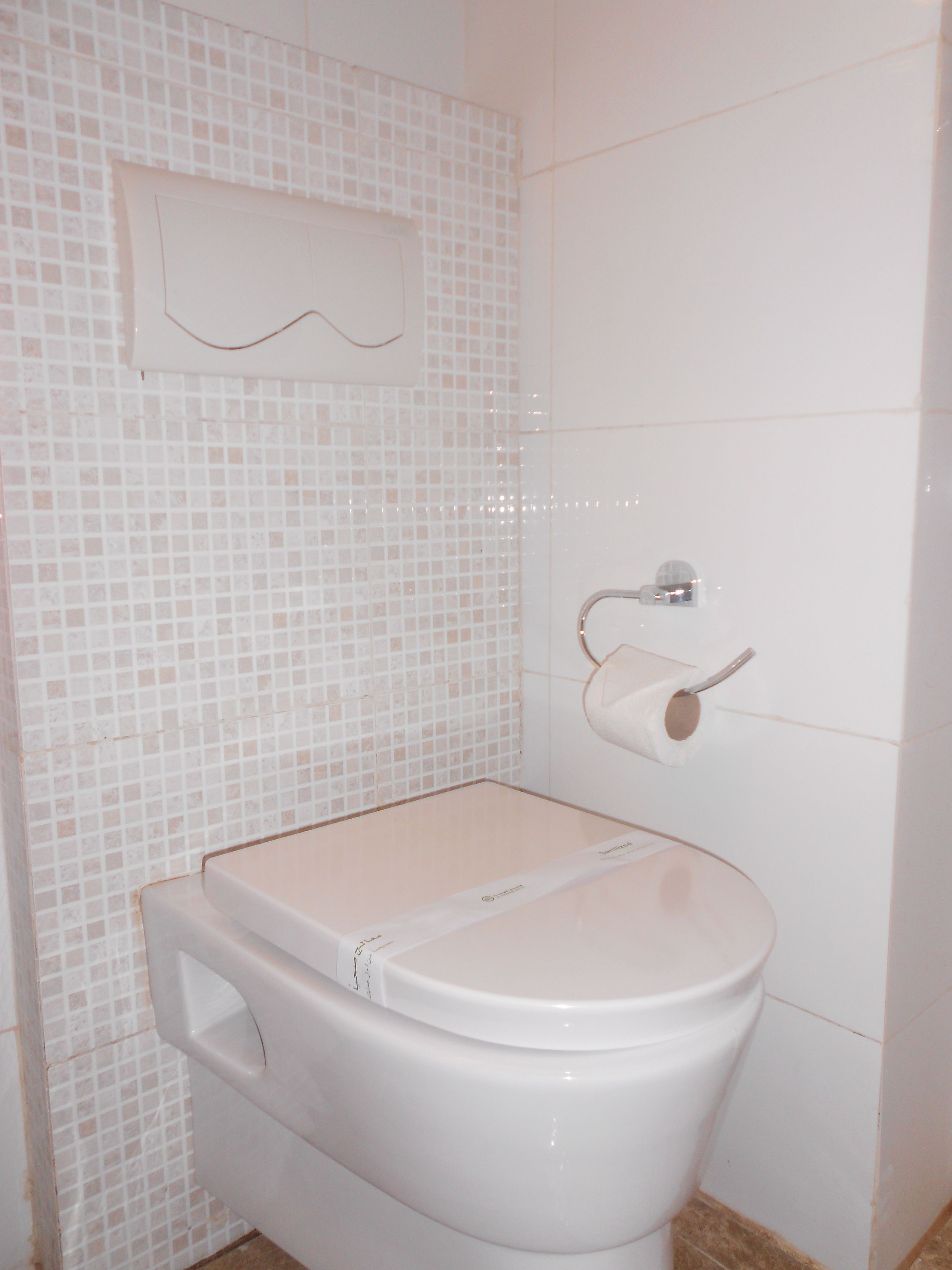 A bathroom with a toilet, a toilet paper holder, and a wall-mounted sink.