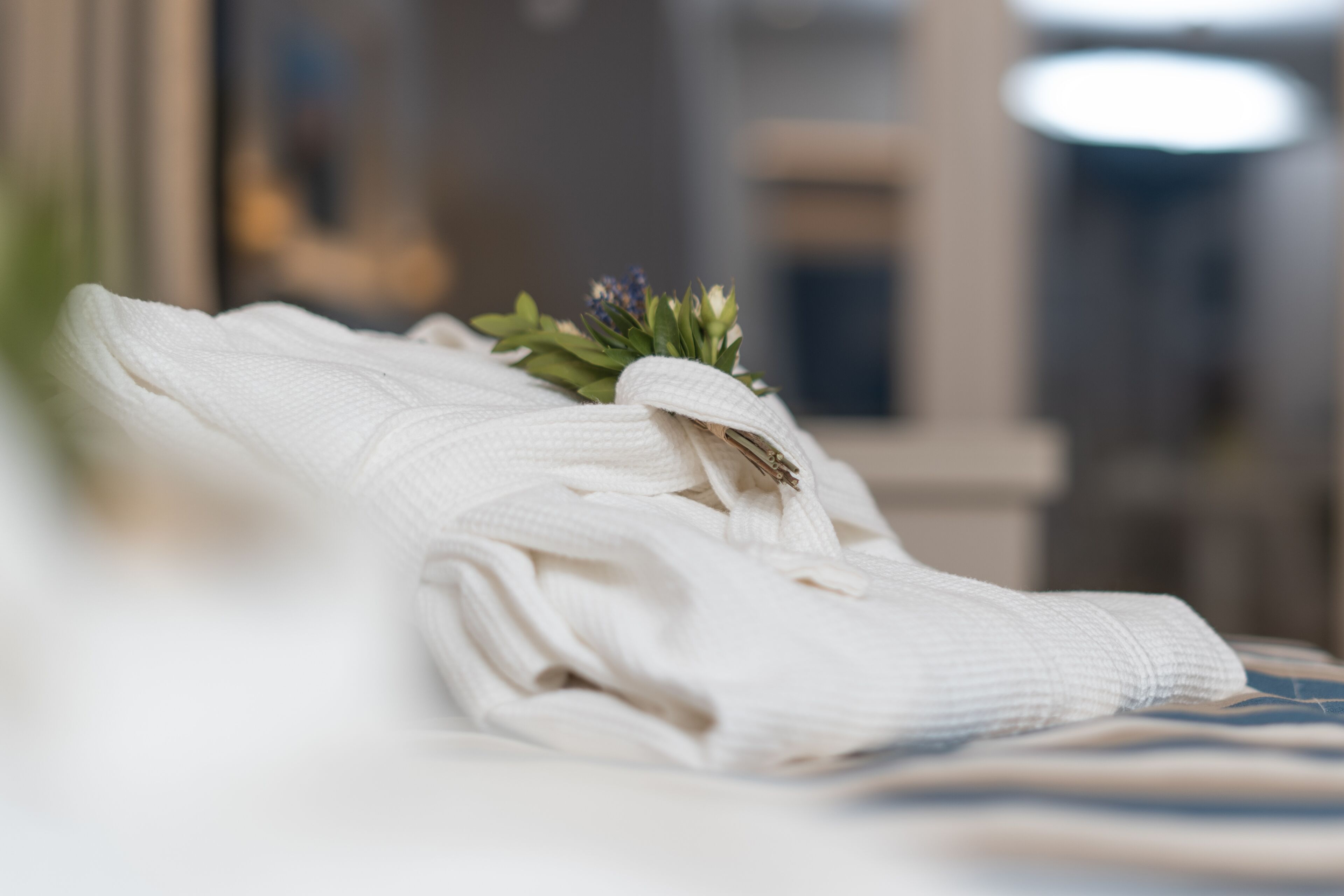 Una toalla blanca doblada con una pequeña planta verde sobre la cama.