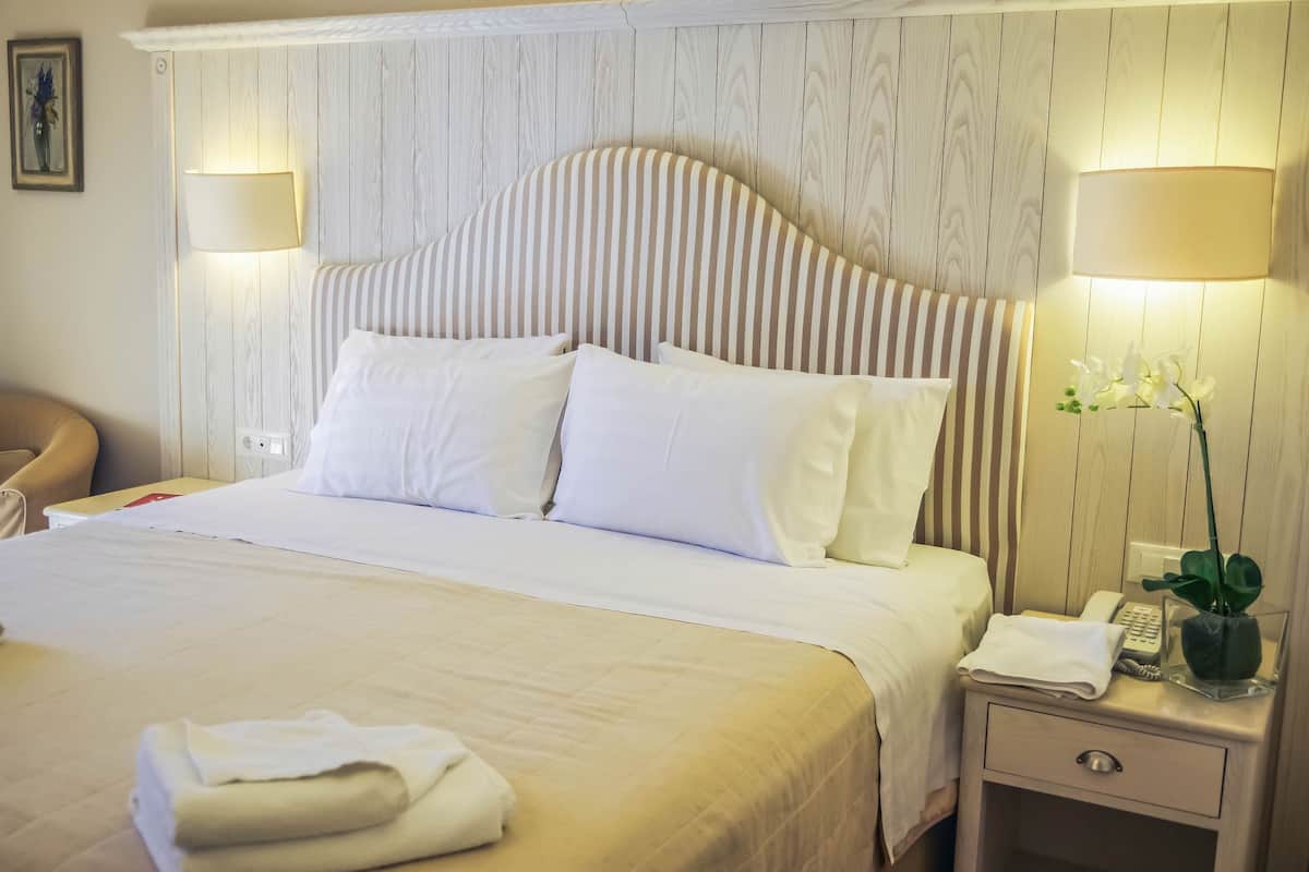 A hotel room with a bed, bedside lamps, a nightstand with a phone and a plant, and a chair.