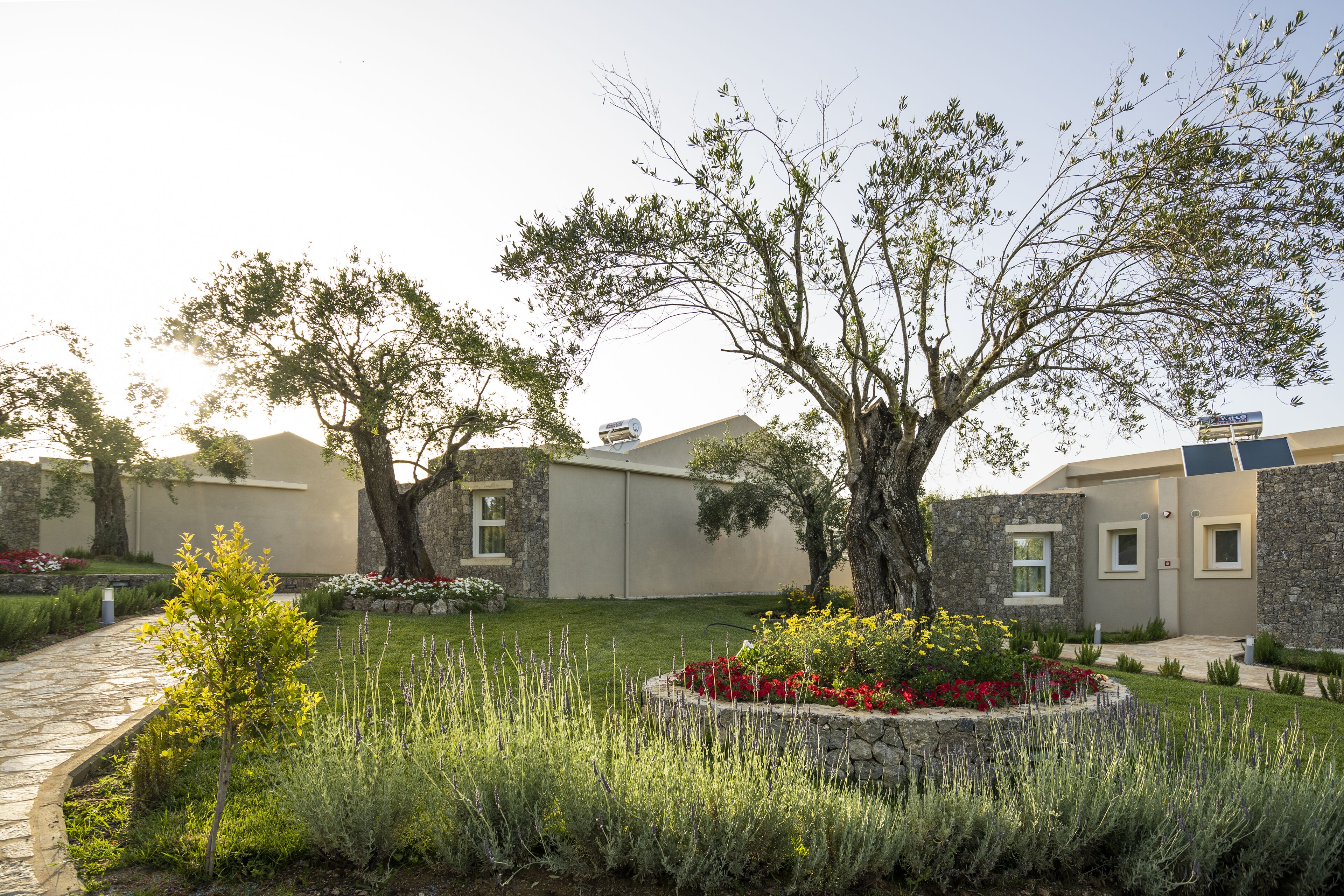 Foto - Art Hotel Debono