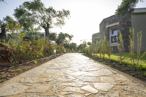 Garden - Art Hotel Debono (Corfu)