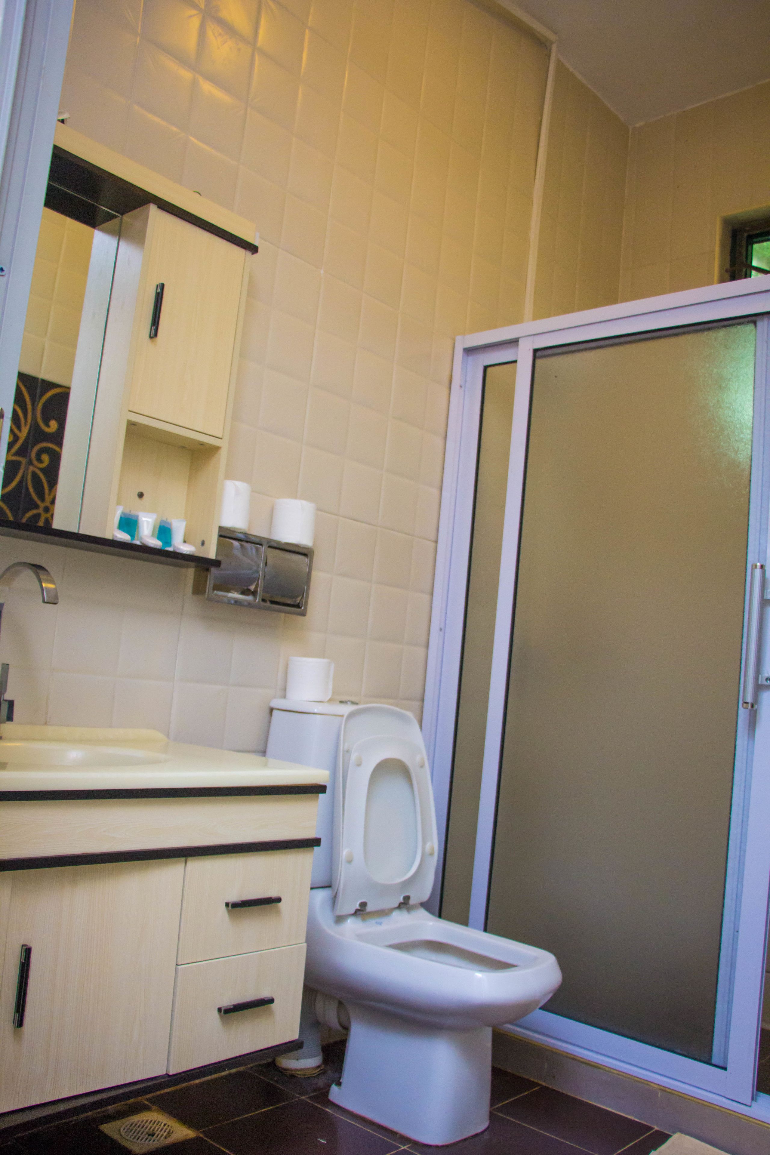 Une salle de bain avec des toilettes, un lavabo et un miroir.