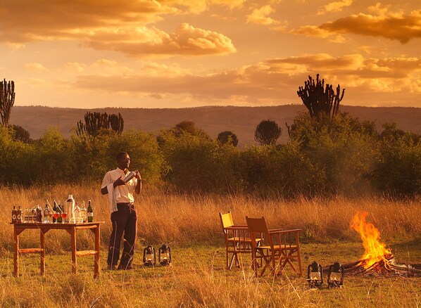 Safari