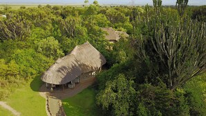 A thatched-roof structure surrounded by lush greenery and cacti, indicating a natural, possibly remote location. - Mbweha Camp Lake Nakuru (Nakuru)