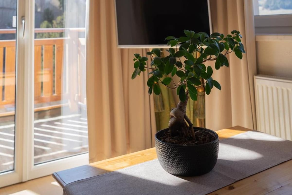 Quarto com planta em vaso no parapeito da janela, televisão de tela plana na parede e vista para as montanhas pela janela.