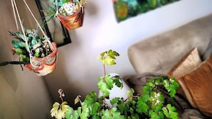 A living room with a couch, a hanging plant, and a wall painting. - PalermiT'amo (Palermo)