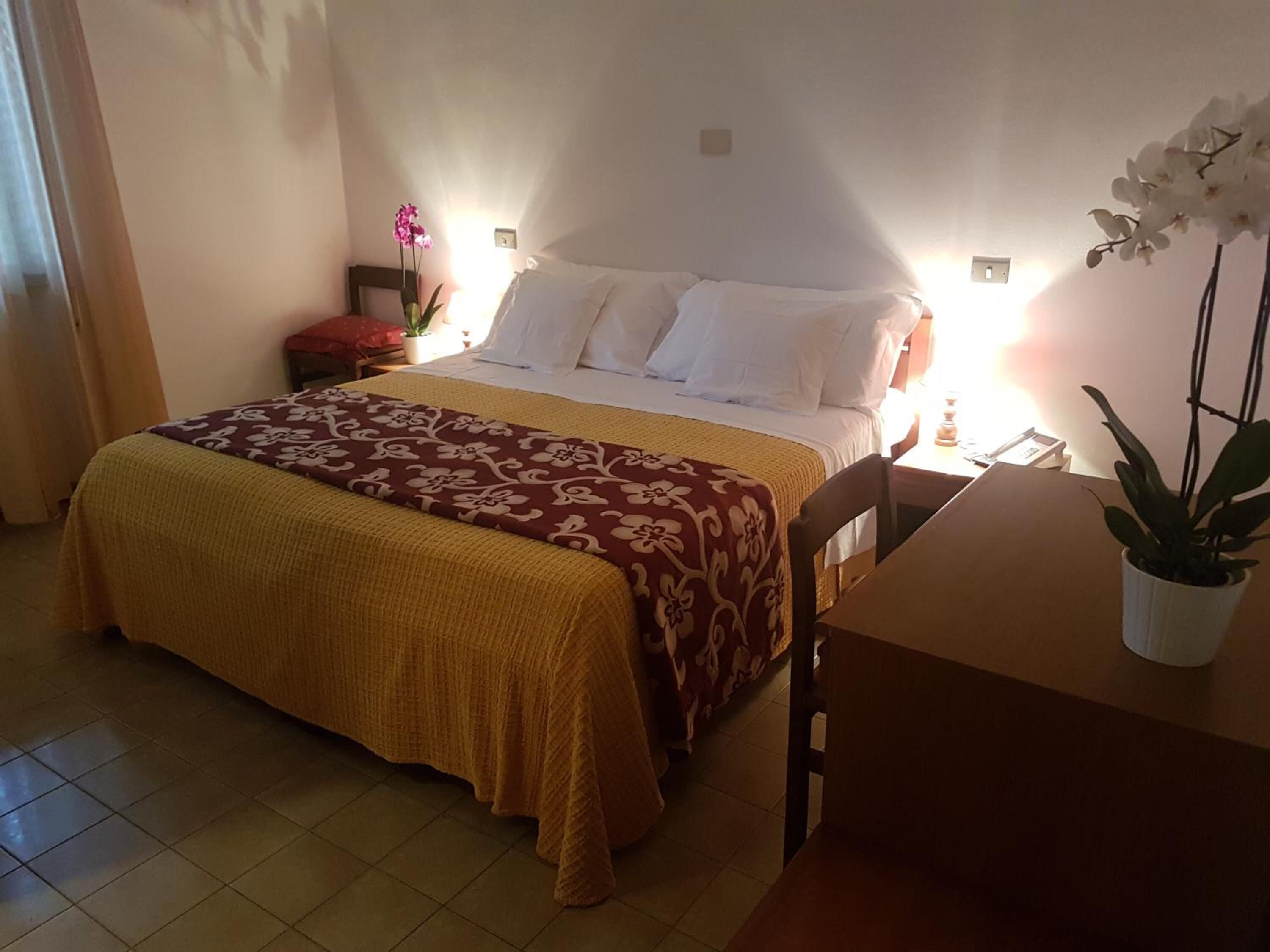A neatly arranged hotel room with a bed, a bedside table, a chair, and a potted plant.