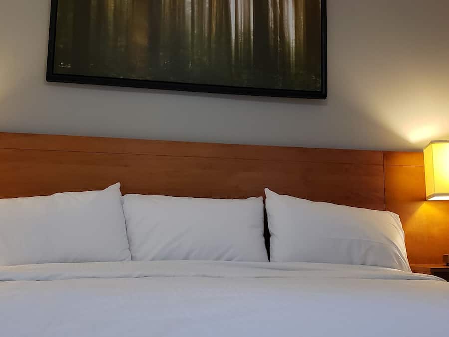 Family Room, 1 King Bed