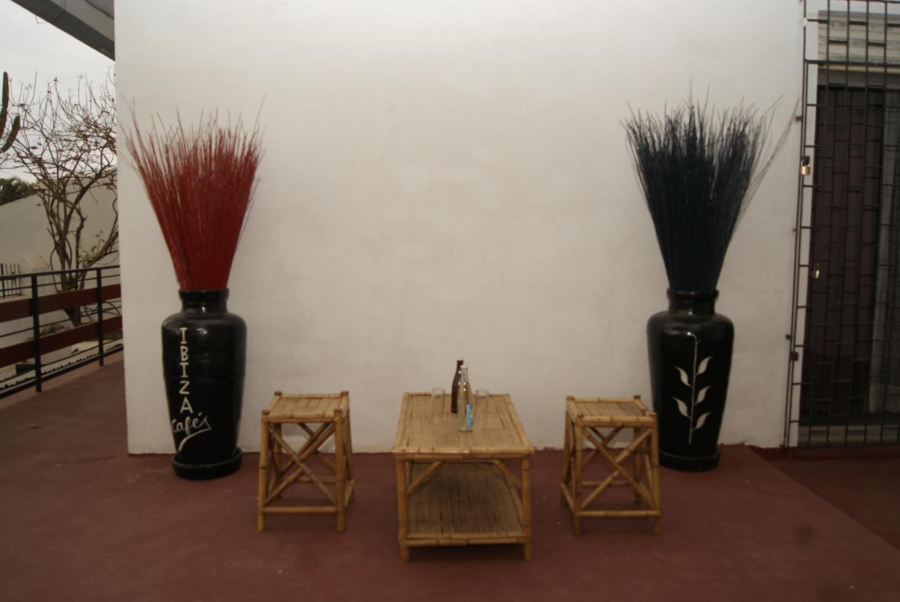 Foto - Villa Mahefa - WIFI - Canal Plus - Terrasse & Jardin