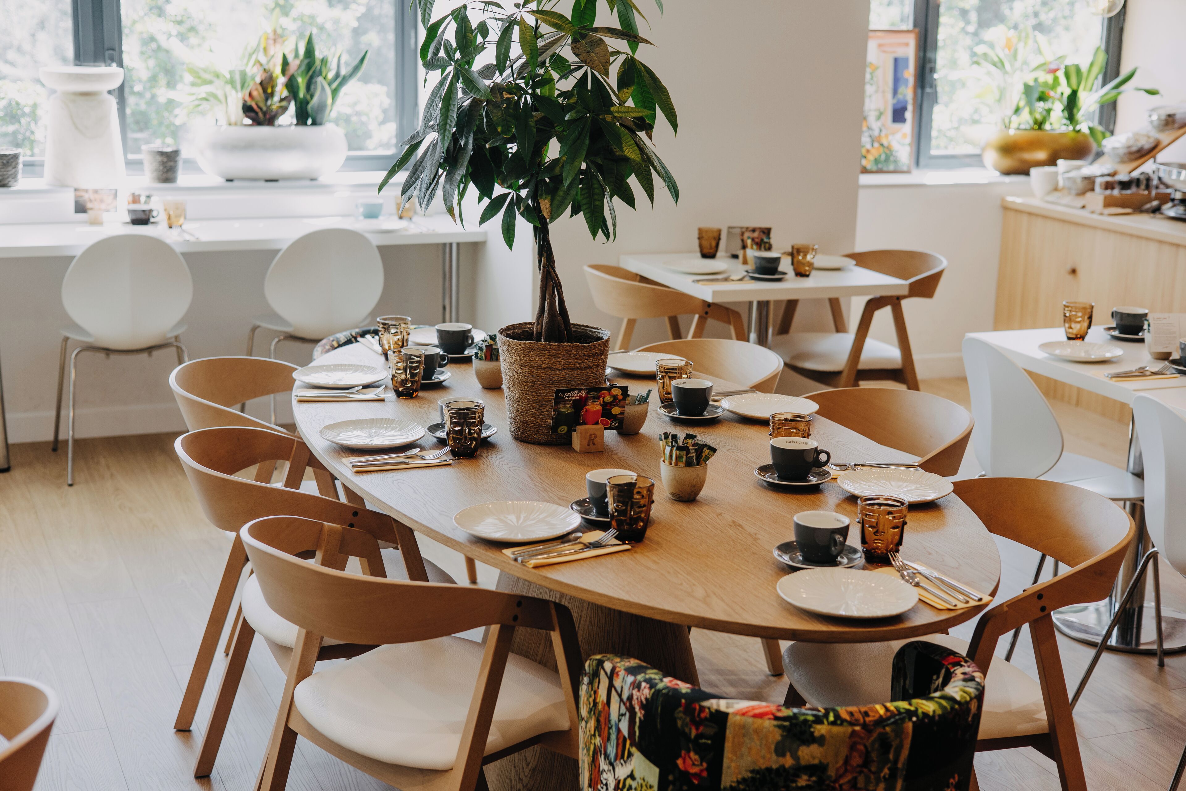 A dining area with wooden tables and chairs, a potted plant, and various tableware.
