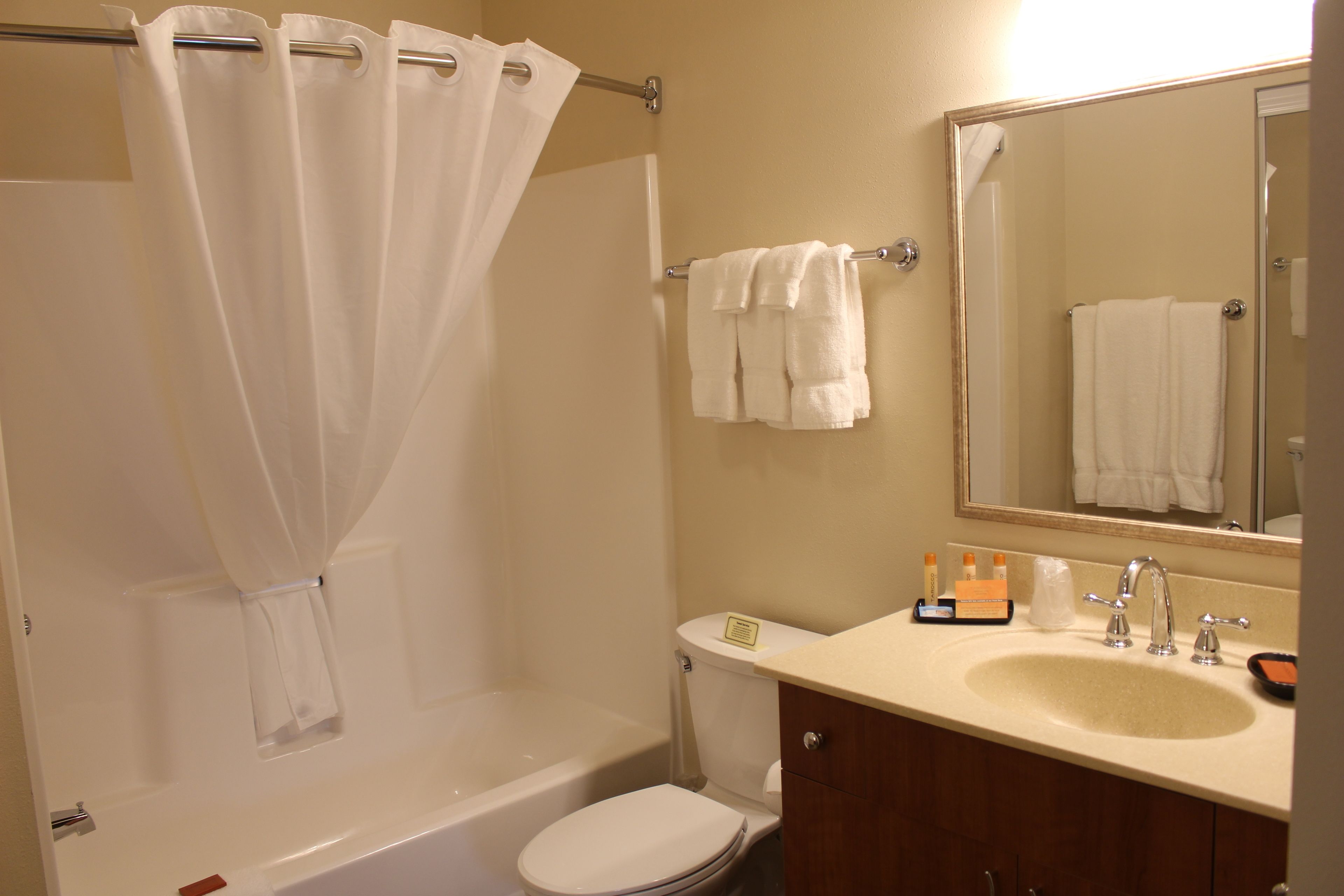 combined shower/bathtub, free toiletries, hair dryer, towels
