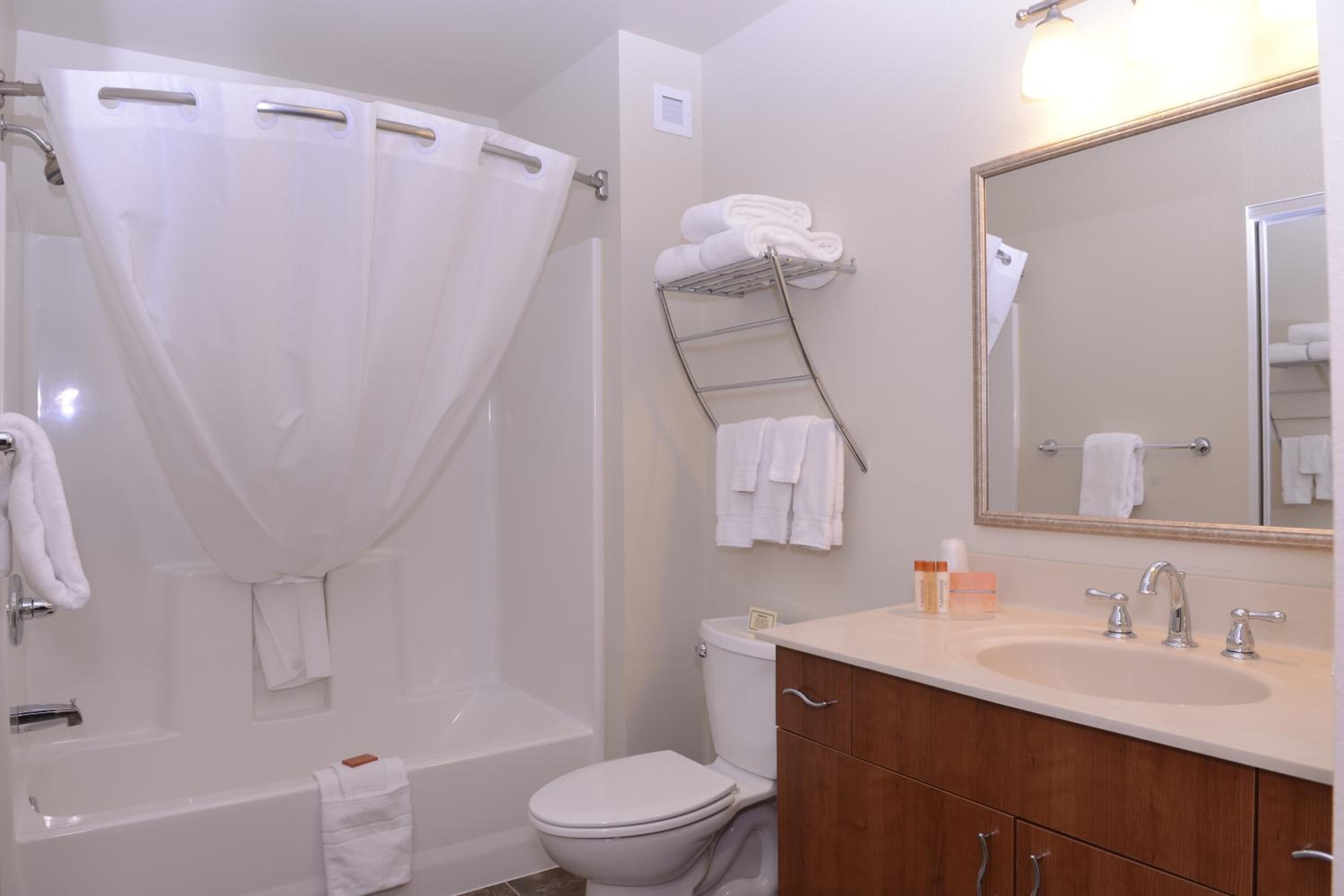combined shower/bathtub, free toiletries, hair dryer, towels