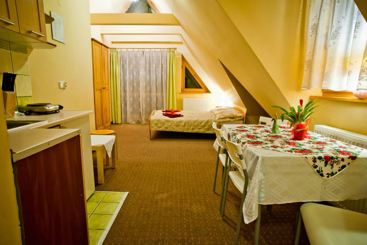 Appartement, 1 slaapkamer, kitchenette (for 5 people with balcony) | Woonruimte | Televisie