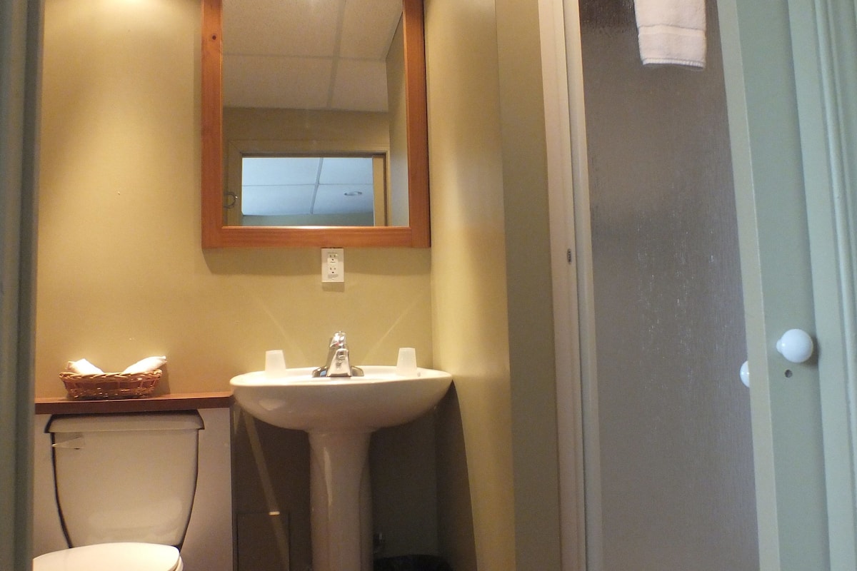 twin room, 2 single beds, private bathroom | bathroom | free toiletries, hair dryer, towels