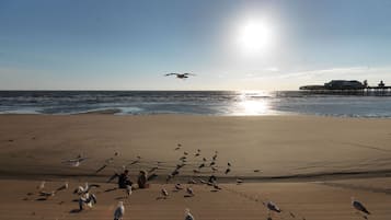 Vlak bij het strand