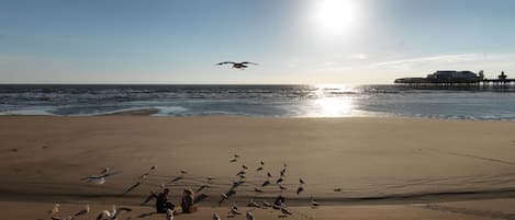 Una spiaggia nelle vicinanze