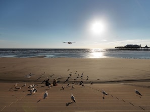 A beach with a pier in the background.