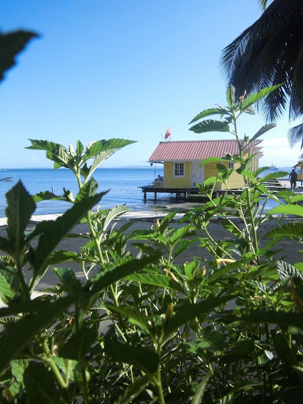 Vista desde la habitación