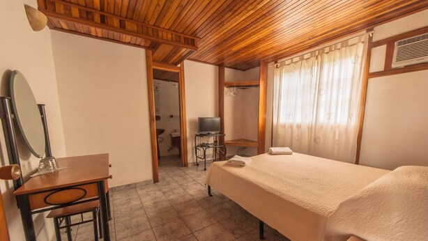 Una habitación con una cama, un escritorio con espejo, televisor y zona de ducha.