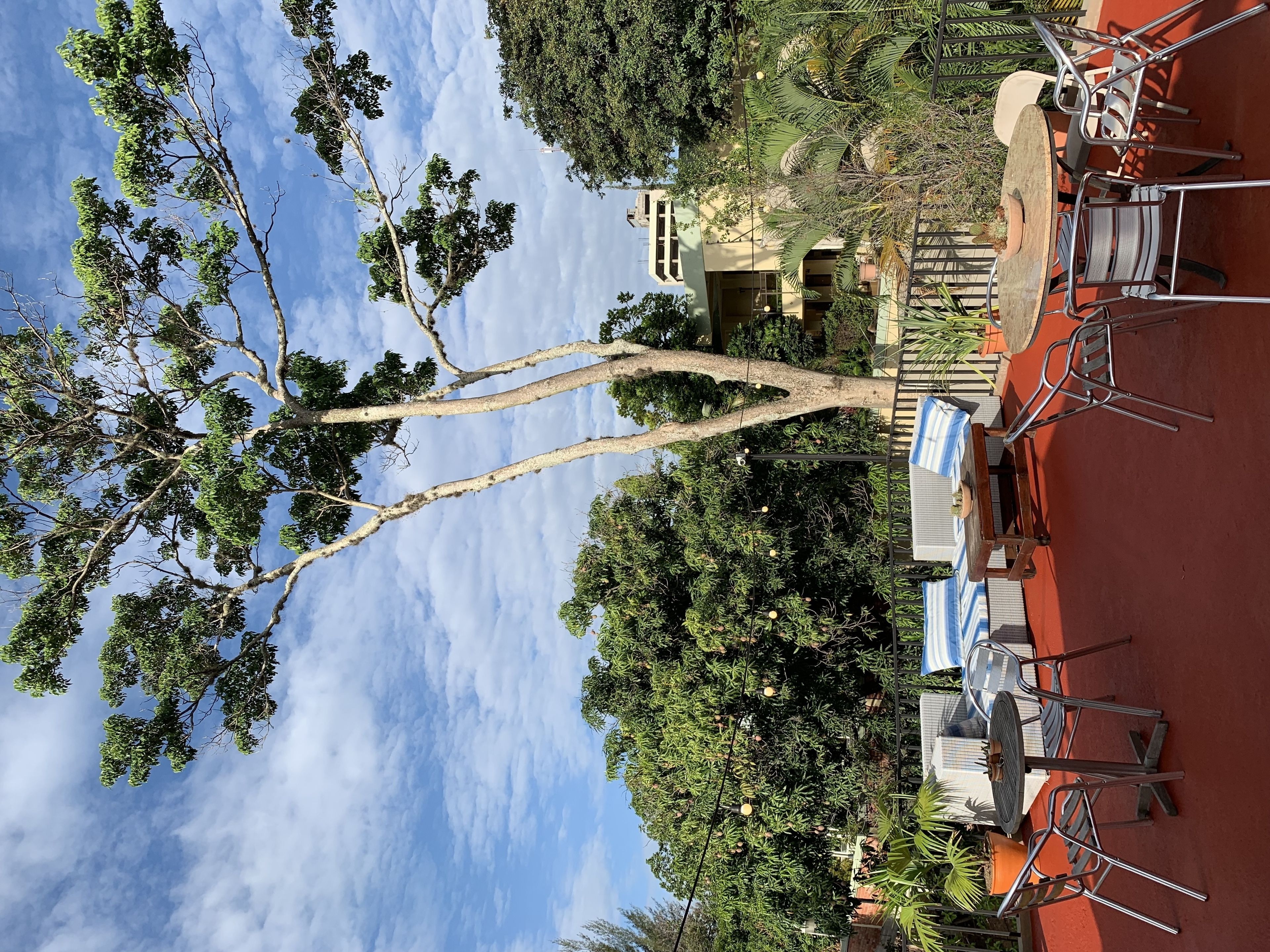 Foto - Palmira Hostel