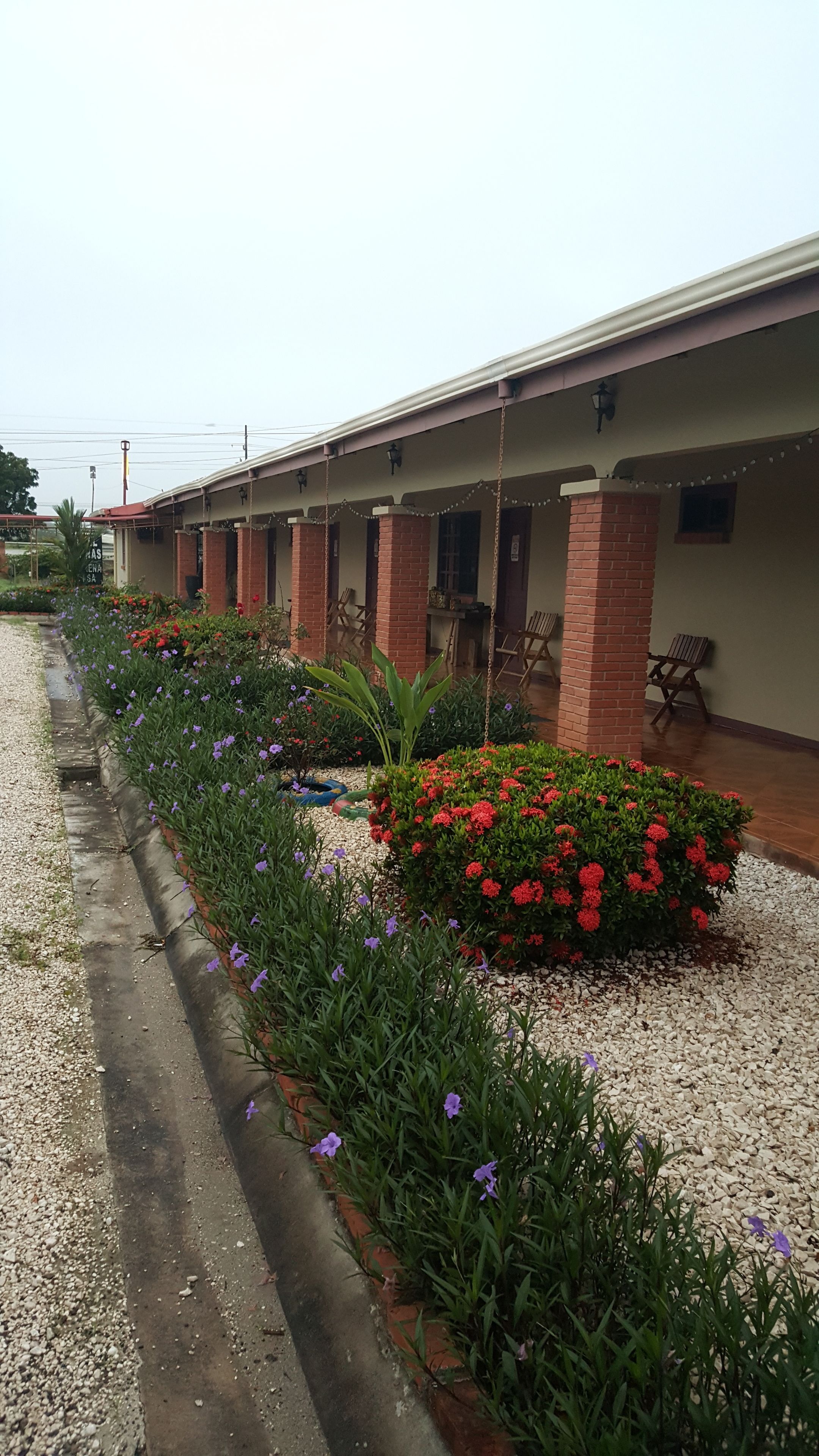 Photo - Hotel La Arena