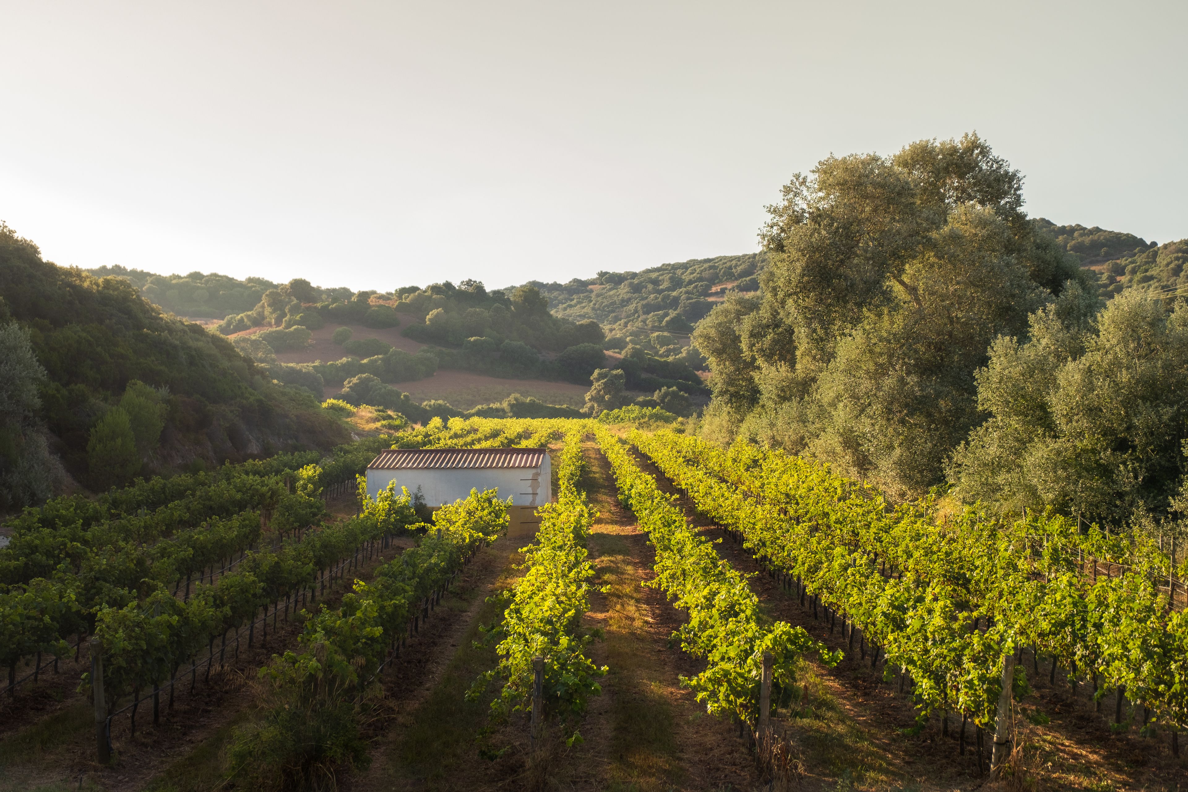 Foto - Hotel Rural Sant Patrici