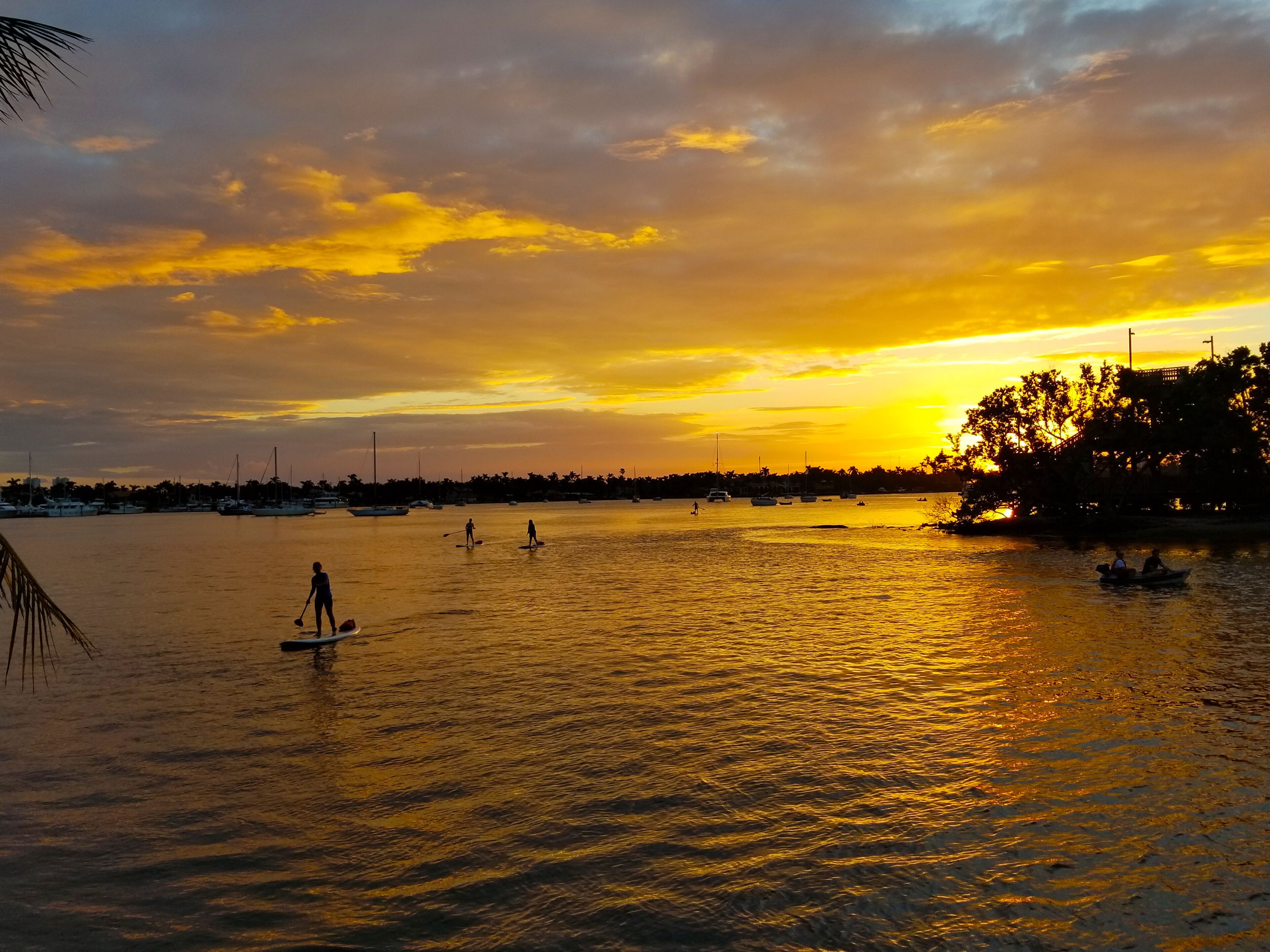 surfing/boogie boarding