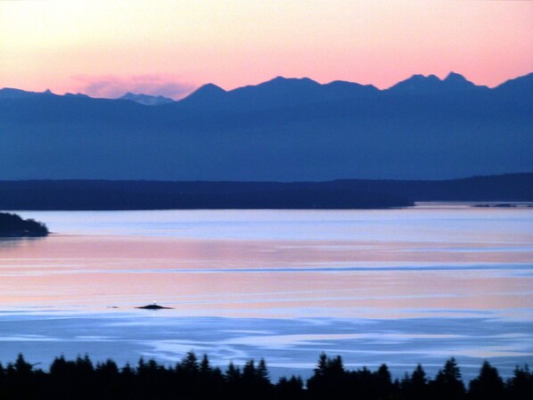 Miscellaneous - Panorama Bed and Breakfast (Chemainus)