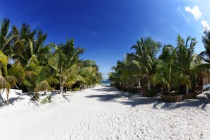 A beach with palm trees and a clear blue sky. - Villa Pescadores Tulum (Tulum)