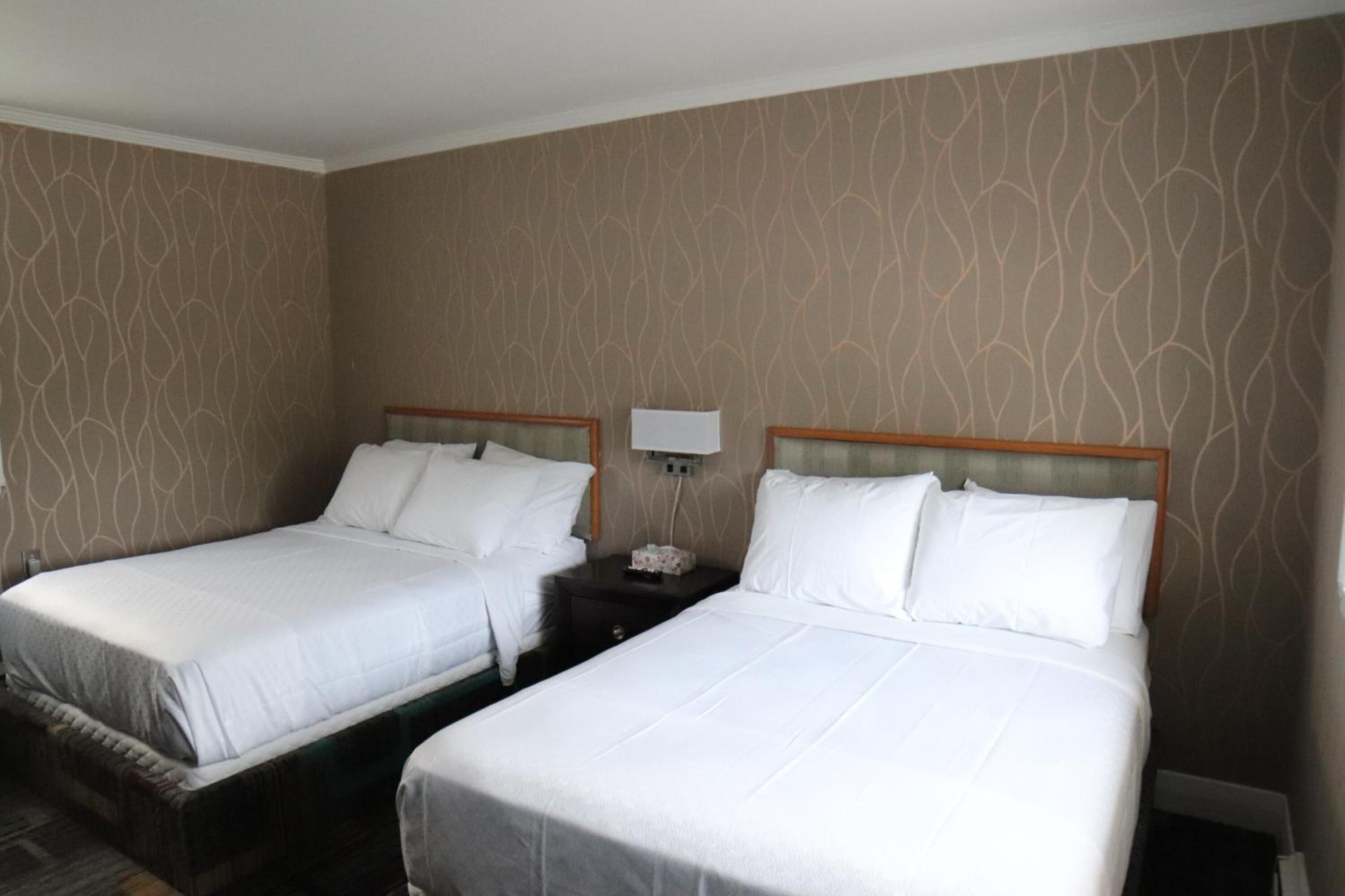 Una habitación de hotel con dos camas individuales, una mesita de noche con lámpara y un papel tapiz estampado.