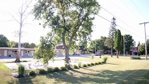 A grassy area with a picnic table and a large tree. - Walkerton Inn Motel (Brockton)