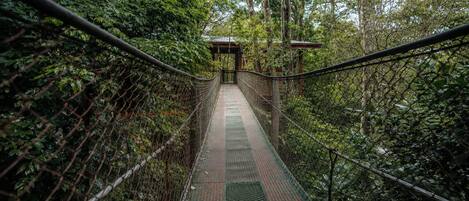A suspension bridge with a covered walkway, surrounded by dense foliage.