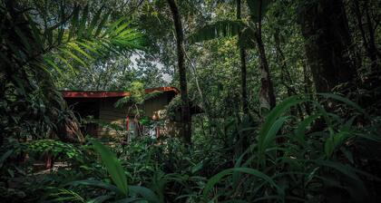 Jaguarundi Lodge