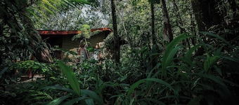 Jaguarundi Lodge