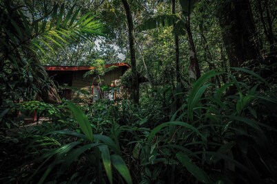 Jaguarundi Lodge