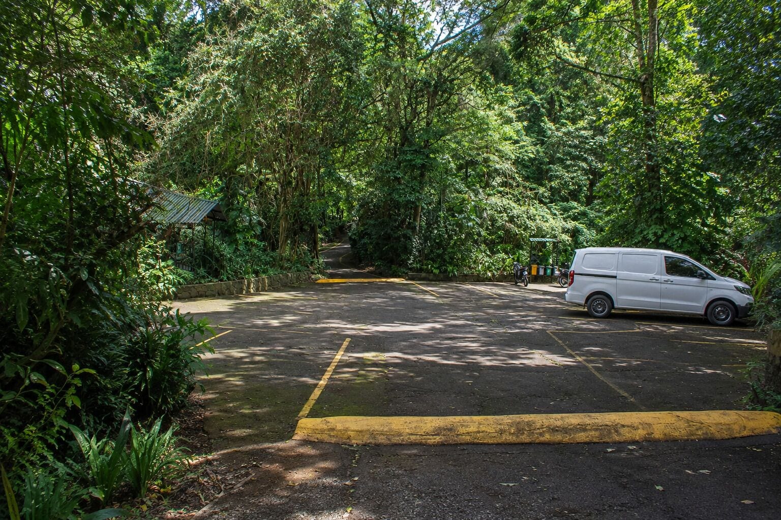 A parking area with a white van, surrounded by dense greenery and trees.