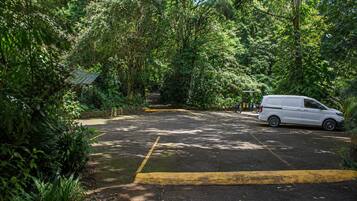 A parking area with a white van, surrounded by dense greenery and trees.