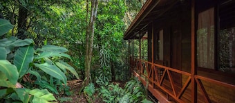 Jaguarundi Lodge